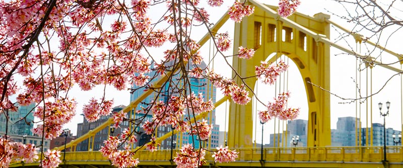 Western PA Bruins Spring Tip-Off